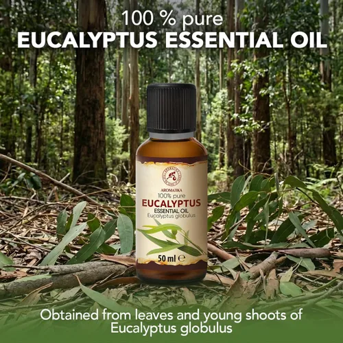 Vista 2 de Aceite esencial de eucalipto de 1.7 onzas líquidas – Aceite de fragancia para difusor y lámpara de aroma For diffuser and aroma lamp; sauna; aroma