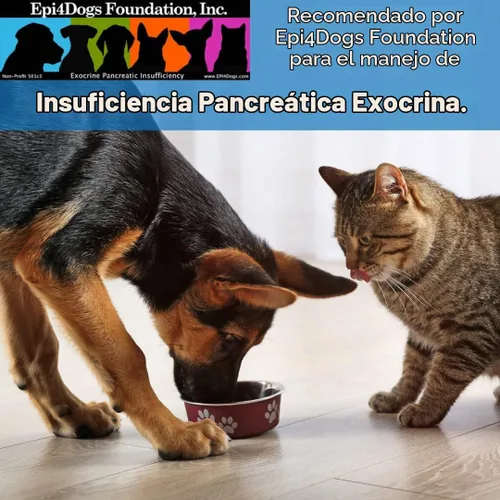 Vista 5 de Wonder Laboratories Pet Factor B-12 Vitamina B-12 en forma de metilcobalamina Popular en el tratamiento de EPI en perros 180 cápsulas
