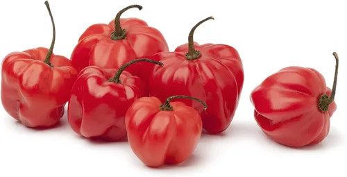 Vista 3 de Semillas de pimiento exótico para plantar - (pimienta de 5 colores)