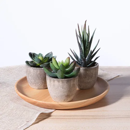 Vista 8 de Cabilock Ounona - Juego de 3 plantas suculentas artificiales con macetas, minisuculentas artificiales realistas para el hogar, la oficina