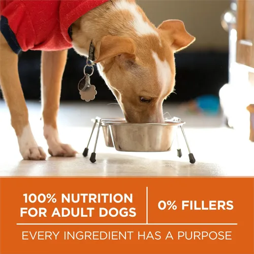 Vista 8 de Purina ONE SmartBlend Natural Peso saludable, fórmula para adulto, alimentos secos para perros y comida húmeda para perros