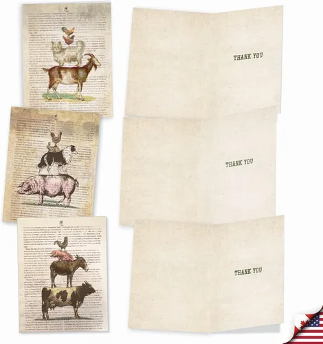 Vista 4 de The Best Card Company 10 tarjetas de felicitación de agradecimiento con sobres de 4 x 5.12 pulgadas – Tarjetas de notas «Farm Stand» – Di gracias