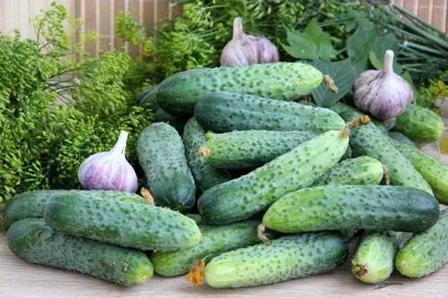 Vista 2 de Semillas Decapado Pepino Zasol No GMO Heirloom