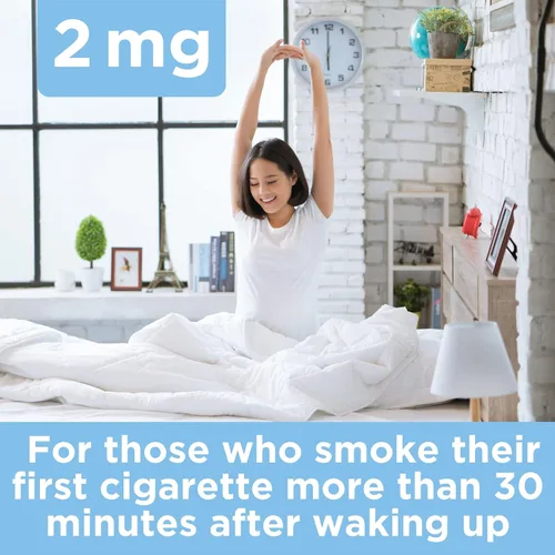 Vista 3 de LEADER, Goma de mascar Polacrilex de nicotina de 4 mg, para aquellos que fuman dentro de los 30 minutos de despertarse, sabor a fruta, sin azúcar