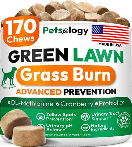 Vista 10 de (Paquete de 2) Probióticos para Perros - 340 Masticables Probióticos para Perros - Enzimas Digestivas y Prebióticos - Apoyan la Salud Intestinal