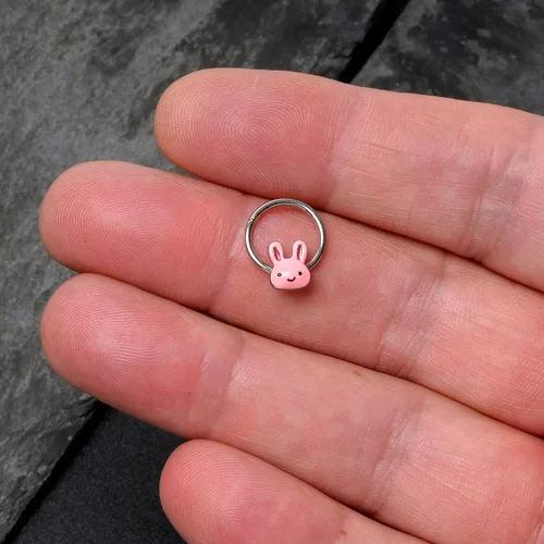 Vista 8 de Body Candy Anillo de segmento con bisagras de acero 16G, sin costuras, para pezón, aro de nariz de conejo, 38 pulgadas, Acero inoxidable, Sin gemas.