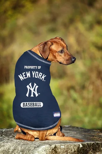 Vista 3 de Camiseta MLB para perros y gatos - Camiseta para perros de los Yankees de Nueva York, talla S. New York Yankees