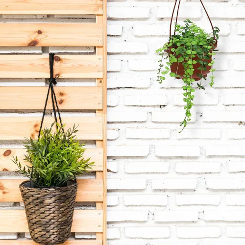 Vista 8 de DOITOOL Macetas colgantes de plástico con gancho para plantas Chlorophytum Octogonal Ventilado Root Plantador para Balcón Jardín Decoración