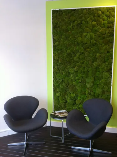 Vista 6 de SuperMoss - Musgo decorativo preservado., Verde fresco