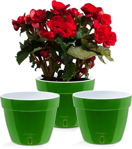 Vista 6 de Santino Macetas de 4.9 Pulgadas ORCHIDEA de Riego Automático para Orquídeas en Grafito - Maceta Decorativa para Sembrar con Excelente Aireación
