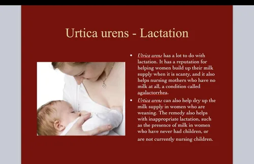 Vista 4 de Urtica Urens Crema 1 Pack