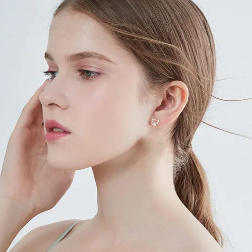 Vista 5 de Bonitos aretes pequeños de cerdo hueco para mujeres, adolescentes, niñas, cartílago, tragus, orejas sensibles, plata de ley S925, delicados