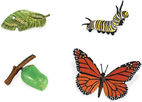 Vista 2 de Safari Ltd Ciclo de vida de una mariposa monarca