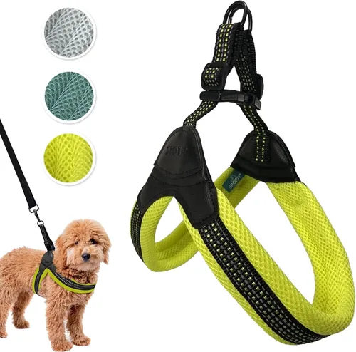 Vista 16 de Sporn Arnés de malla de fácil ajuste para perro de tamaño pequeño, color turquesa, tela suave, de nailon, sin estrangulamiento, arnés para perro