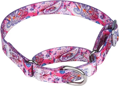 Vista 39 de Collar de perro de nailon resistente, collar ajustable de martingala para perros para caminar y entrenamiento para perros machos y hembras perros