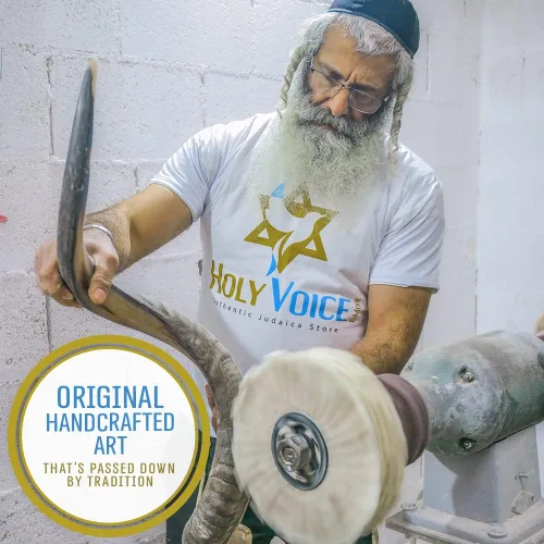 Vista 2 de Holy Voice Kosher Kudu Shofar Horn de Israel 24 a 28 pulgadas, juego tradicional de shofar yemenita medio pulido, incluye bolsa de transporte