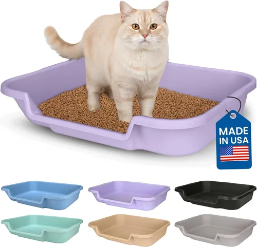 Vista 41 de KittyGoHere - Caja de arena para gatos mayores, sartén pequeña con cuchara jumbo de mango largo, caja de arena para gatos de entrada baja, ligera