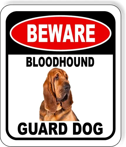 Vista 41 de BEWARE BASSETT HOUND GUARD DOG - Letrero compuesto de aluminio para exteriores, 8.5 x 10 pulgadas CUIDADO BASSETT HOUND GUARD PERRO