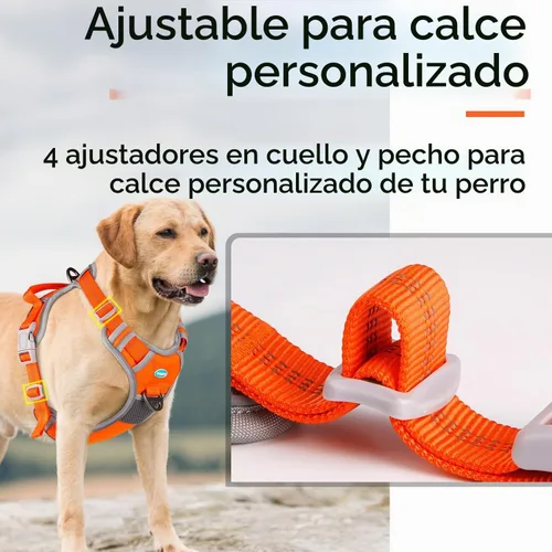 Vista 5 de ThinkPet - Arnés deportivo transpirable sin tirones con asa, arnés reflectante ajustable para perros medianos y grandes, clip trasero y frontal