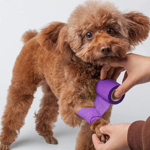 Vista 8 de Lotfancy 10 rollos de envoltura veterinaria autoadhesiva, vendaje cohesivo de 2 pulgadas para el cuidado de heridas, cinta elástica para mascotas