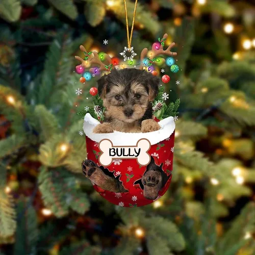 Vista 10 de IZI POD Affenpinscher Adorno de Navidad personalizado para perro, adorno de bolsillo de nieve para perro para árbol de Navidad, adorno acrílico