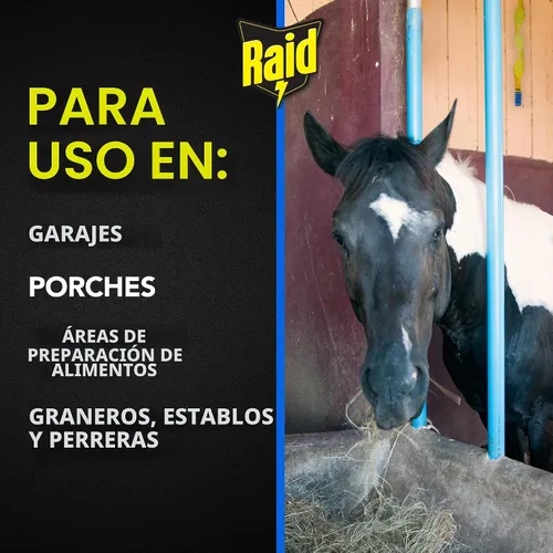 Vista 6 de Raid FR3-RAID - Cinta para atrapar moscas (4 unidades)
