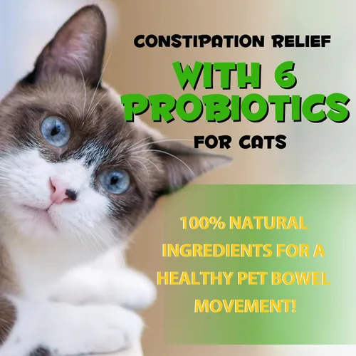 Vista 2 de Alivio del estreñimiento del gato, 2 onzas líquidas, laxante 100% natural para gatos con 6 probióticos para el estreñimiento, promueve la salud