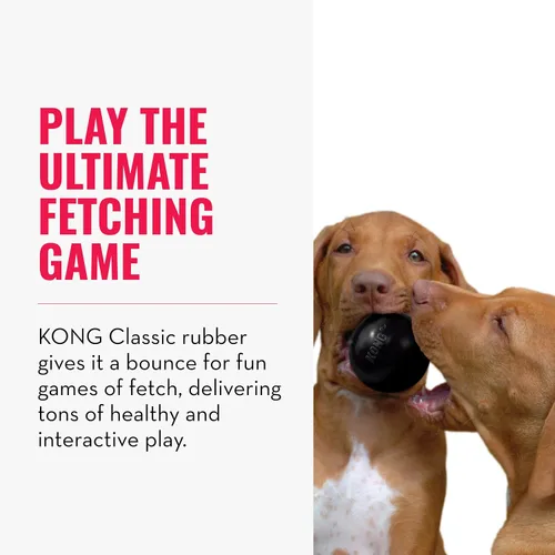 Vista 4 de KONG Bola extrema con agujero – Juguete de búsqueda – Juguete duradero para perros para entrenamiento, tiempo de juego interactivo y más – Pelota