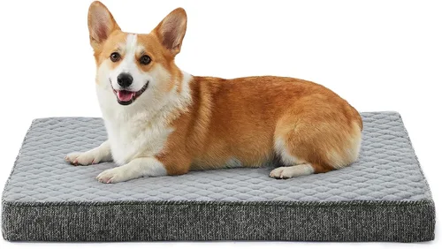 Vista 28 de JOEJOY Cama ortopédica para perros extra grandes