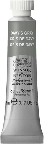 Vista 309 de Winsor & Newton - Pintura para acuarela profesional