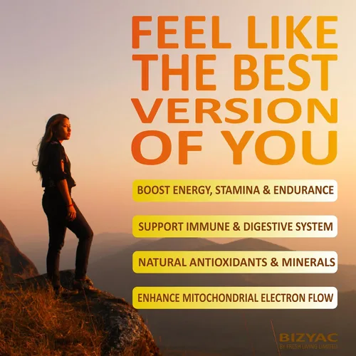 Vista 7 de Gomitas Shilajit orgánicas para hombres y mujeres con musgo marino y ashwagandha – 100% extracto del Himalaya con más de 105 minerales traza, raíz