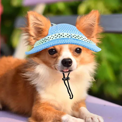 Vista 6 de Sombrero para perros extra pequeños para llevar cachorros con agujeros para las orejas y correa para la barbilla, sombrero de visera para perro Azul