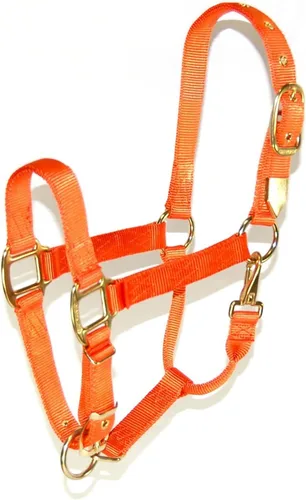 Vista 15 de Hamilton, Halter de 1 pulgada con barbilla ajustable, azul baya, 800-1100 libras