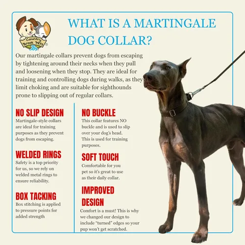 Vista 7 de Country Brook Petz - Collar de perro martingala, collar de entrenamiento resistente sin hebilla, collar de perro de servicio para todos los Marrón