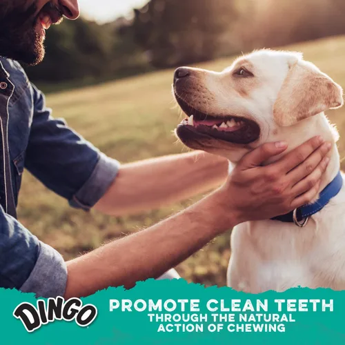 Vista 6 de Palillos dentales Dingo 48 unidades, acción de masticación natural ayuda a limpiar los dientes
