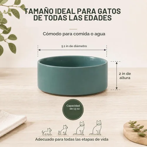 Vista 2 de Havniva Juego de 2 cuencos para gatos de cerámica de 5.1 pulgadas, cuenco