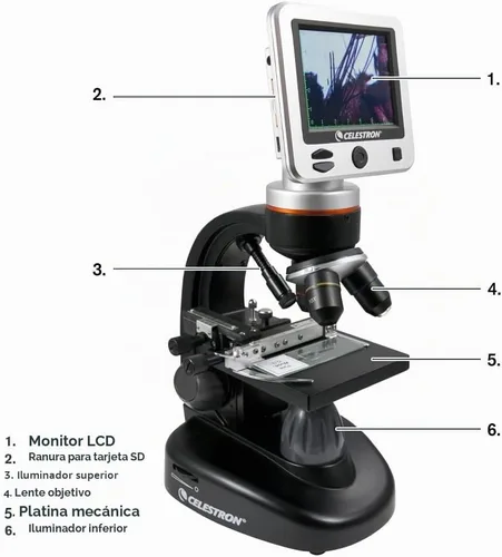 Vista 9 de Celestron – Microscopio digital LCD II – Pantalla de 3.5" – Cámara de 5MP – Aumento de 40x–1600x – Cabezal giratorio – Tarjeta SD incluida – Salida