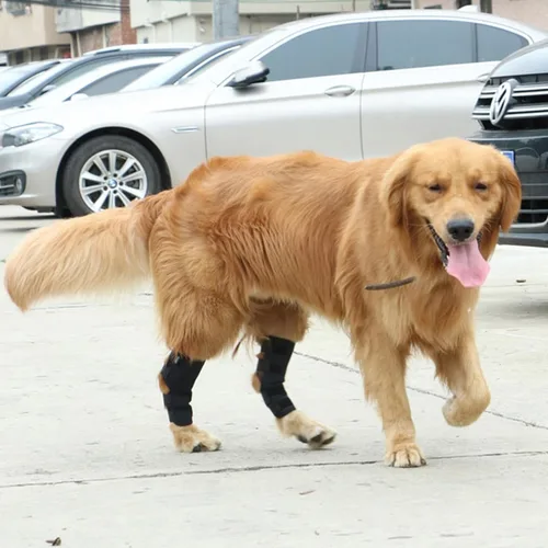 Vista 2 de Coderas para perro, cómoda funda elástica ajustable para patas de perro para dejar de lamer, manga protectora de recuperación para perro, soportes