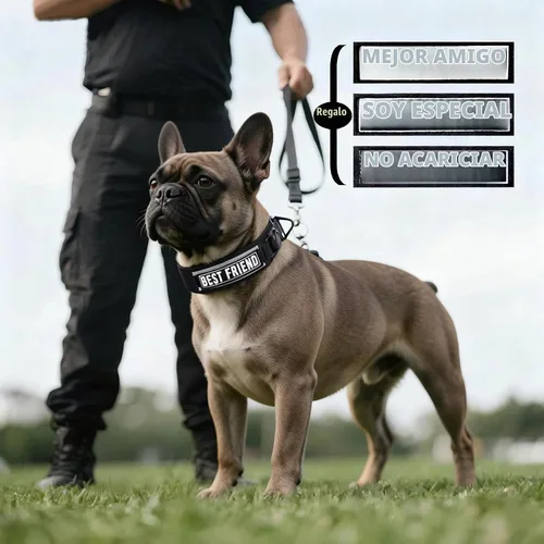 Vista 2 de Collar táctico para perro con soporte Airtag para perros medianos, collar negro de 2 pulgadas de ancho Gift 3 Patches, Military Heavy Duty Dog