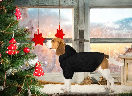 Vista 2 de Suéteres Peludos para Perros Pequeños Sudadera con Capucha para Perros Ropa para Mascotas Abrigos Cálidos Suaves Acogedores Sudadera con Capucha