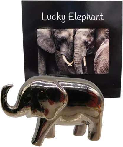 Vista 8 de Westmon Works Lucky Elephant Charm Legend - Juego de baratijas pequeñas para la buena suerte con tarjeta, Metal, No es una piedra preciosa