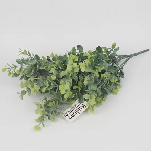 Vista 6 de Rinlong - Plantas para el exterior y flores mixtas