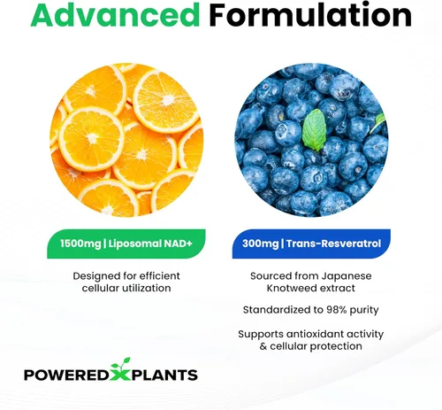 Vista 4 de Suplementos NAD+ con resveratrol 1500 mg - Suplemento alternativo liposomal Nad Plus que potencia NMNH para hombres y mujeres - Apoya la salud