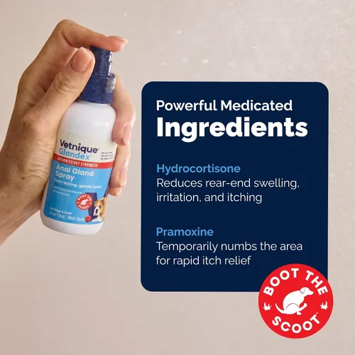 Vista 6 de Glandex - Paquete de spray antipicazón para glándulas anales y medicamentos para perros, fibra, probióticos y enzimas digestivas con hidrocortisona