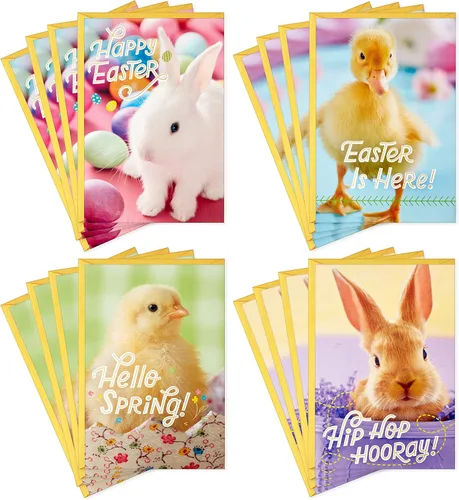 Vista 10 de Hallmark Tarjetas de San Valentín para la escuela, cachorro, gatito, cerdo, erizo (24 aulas de San Valentín con sobres)