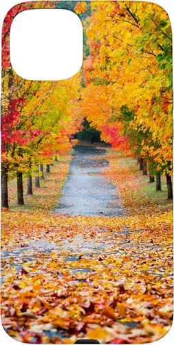 Vista 8 de iPhone 11 Otoño Hojas - Hermoso estuche de arboles