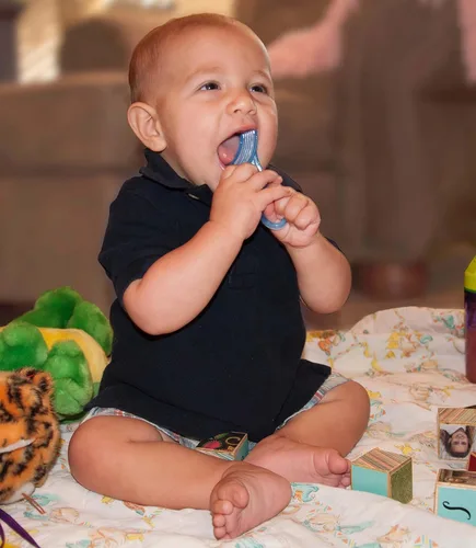 Vista 8 de Cepillo de dientes mordedor Baby's 1st Toothbrush de Baby Buddy, Azul