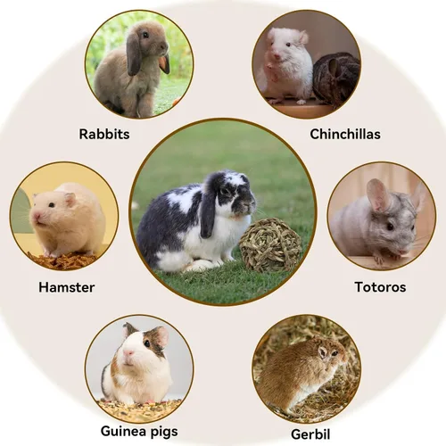 Vista 8 de Pelota de hierba de conejo Timothy 6 piezas, bola de hierba natural de conejito Timothy tejida a mano, juguetes para masticar, animales pequeños