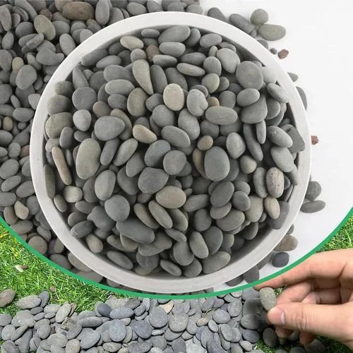 Vista 13 de Piedras de río de 2.4 libras para plantas y suculentas, paisajismo decorativo al aire libre y rocas de jardín de acuarios