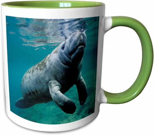 Vista 14 de 3dRose, Taza negra bicolor de 11 oz, negro/blanco